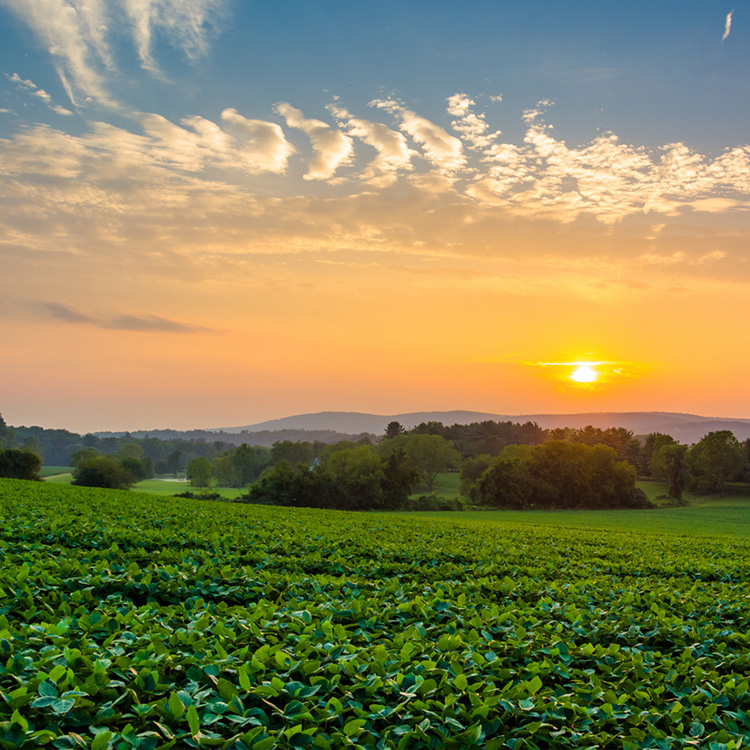 Celebrating Our Ag Heroes